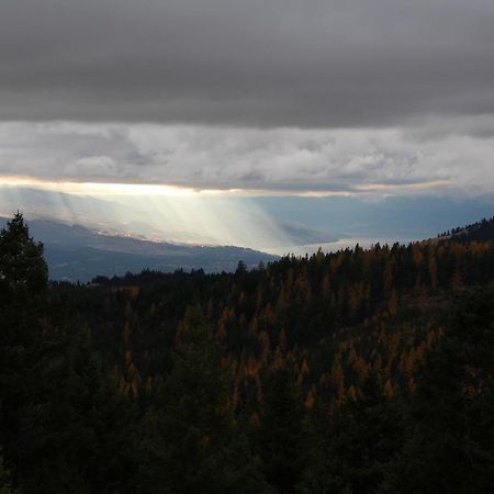 Wild Nature B&B Kelowna Dış mekan fotoğraf