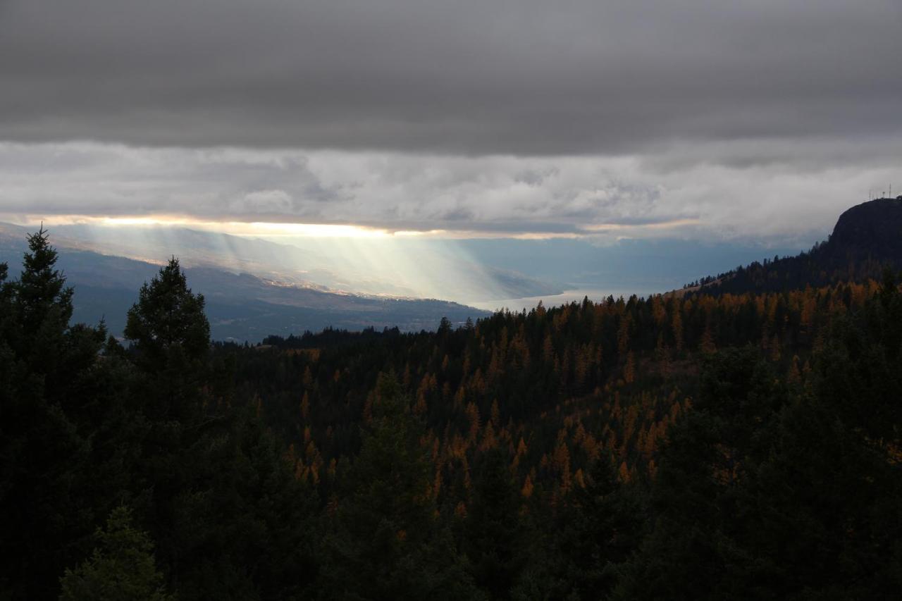Wild Nature B&B Kelowna Dış mekan fotoğraf