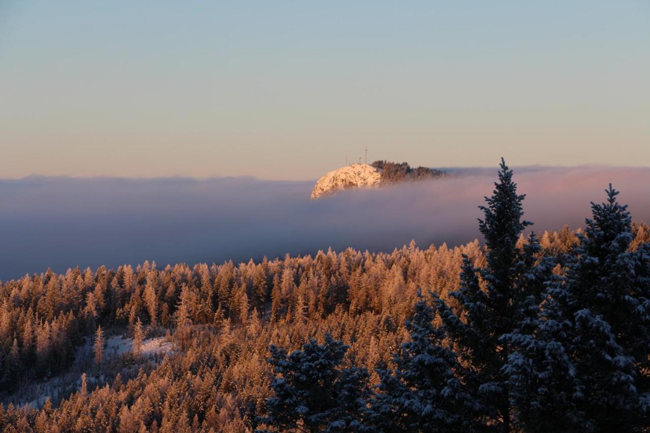 Wild Nature B&B Kelowna Dış mekan fotoğraf