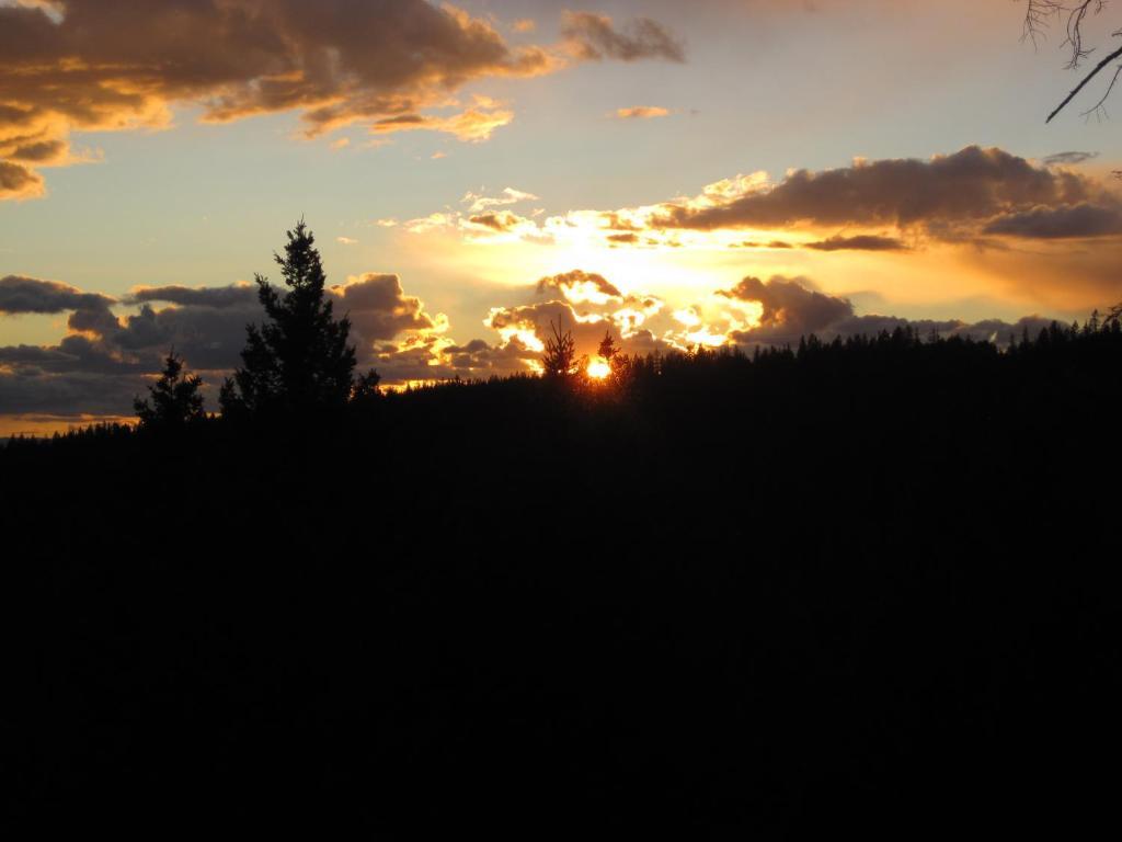Wild Nature B&B Kelowna Dış mekan fotoğraf