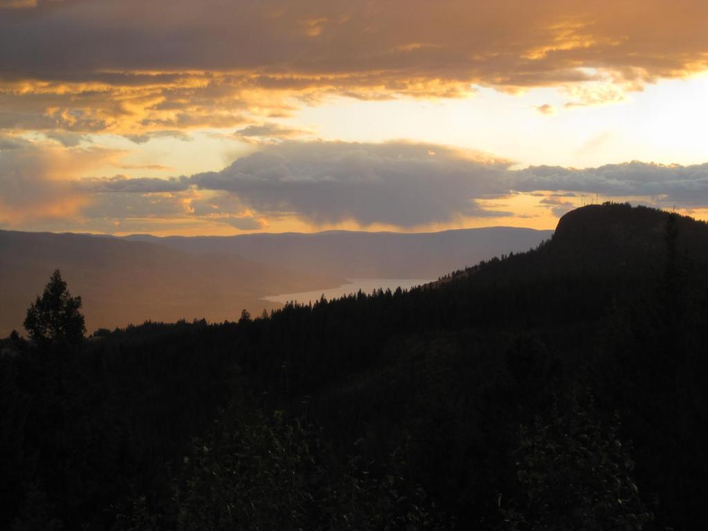 Wild Nature B&B Kelowna Dış mekan fotoğraf