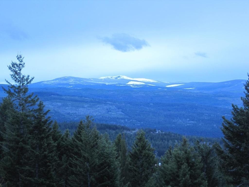 Wild Nature B&B Kelowna Dış mekan fotoğraf