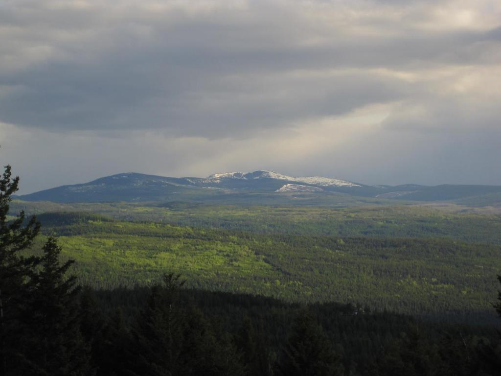 Wild Nature B&B Kelowna Dış mekan fotoğraf