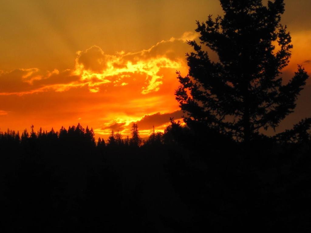 Wild Nature B&B Kelowna Dış mekan fotoğraf