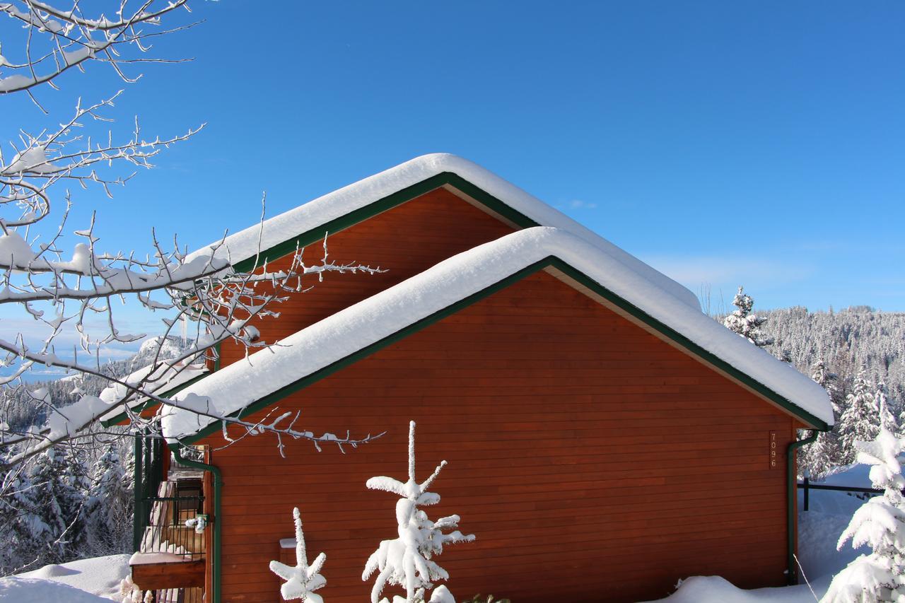 Wild Nature B&B Kelowna Dış mekan fotoğraf