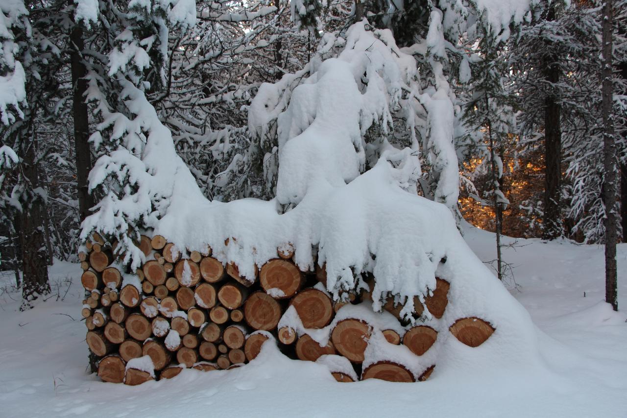 Wild Nature B&B Kelowna Dış mekan fotoğraf